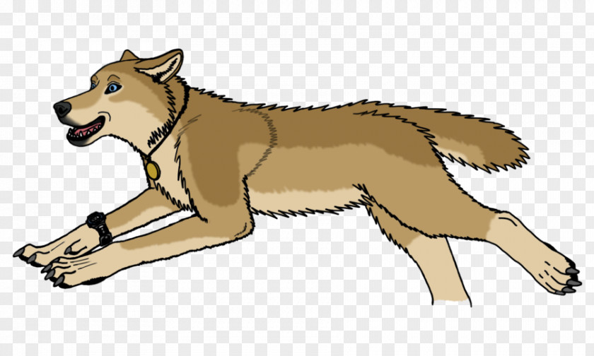 Painted Wolf Gray Animation Clip Art PNG