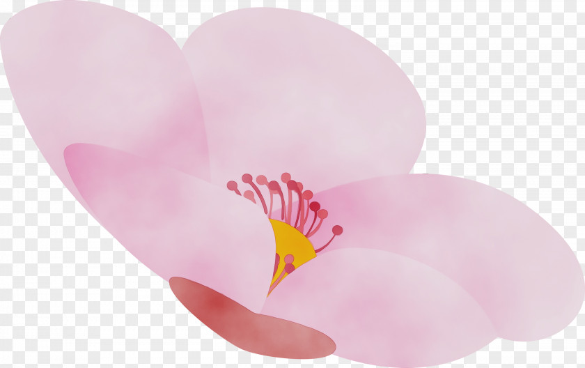 Pink Petal Flower Heart Plant PNG