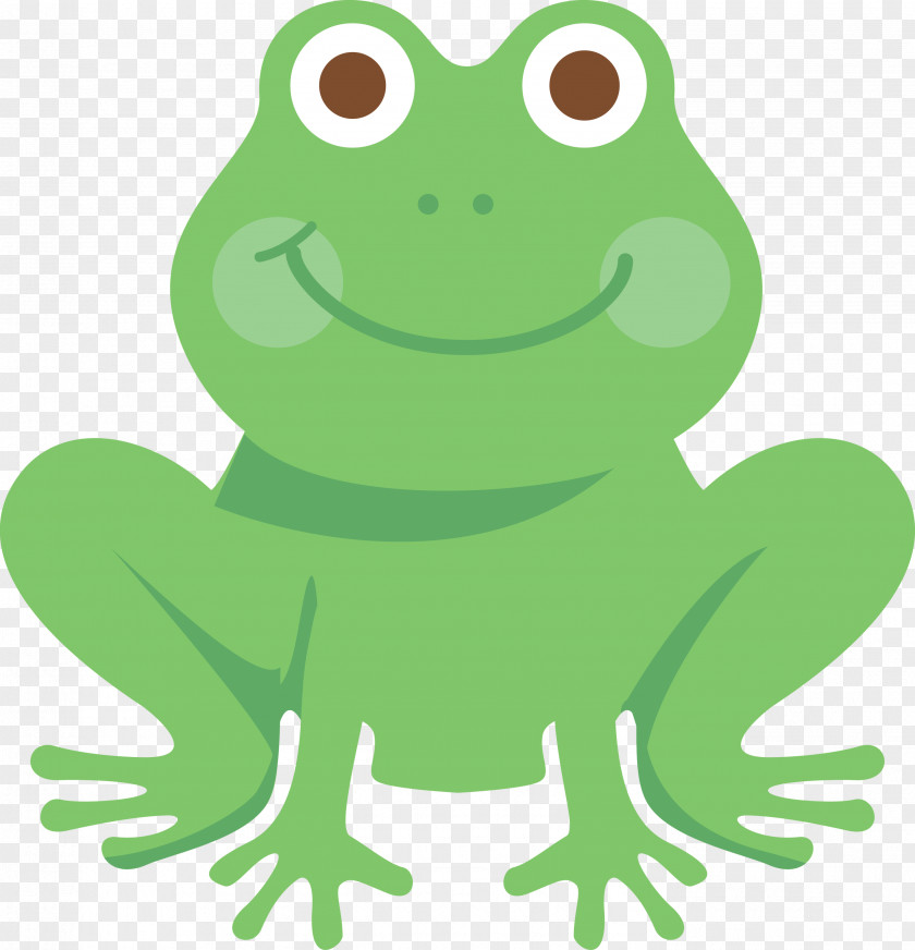 True Frog Toad Frogs Cartoon Tree PNG