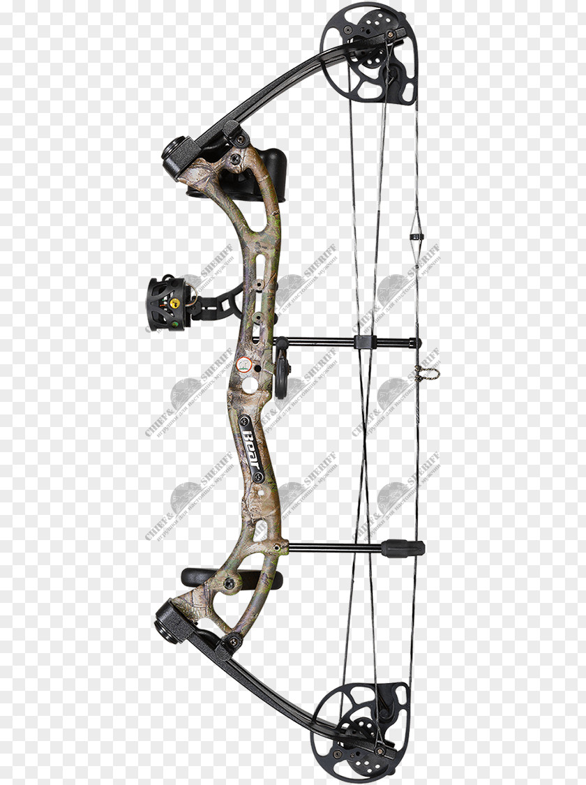 Arrow Bear Archery Compound Bows Bow And Hunting PNG