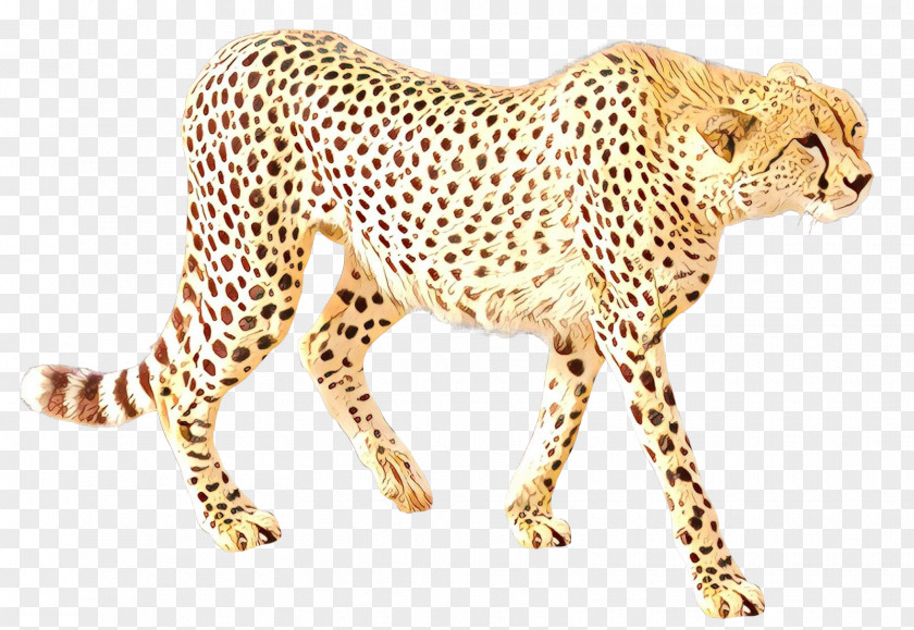 Cheetah Leopard Cat Jaguar Terrestrial Animal PNG