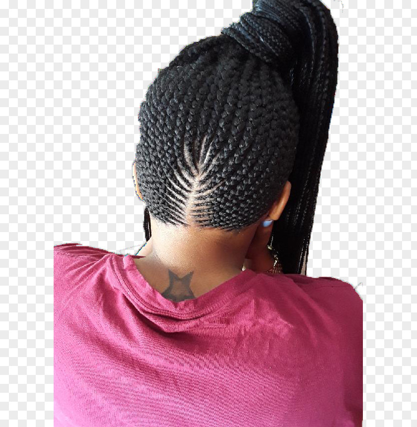 Hair Box Braids Cornrows Twists Crochet PNG