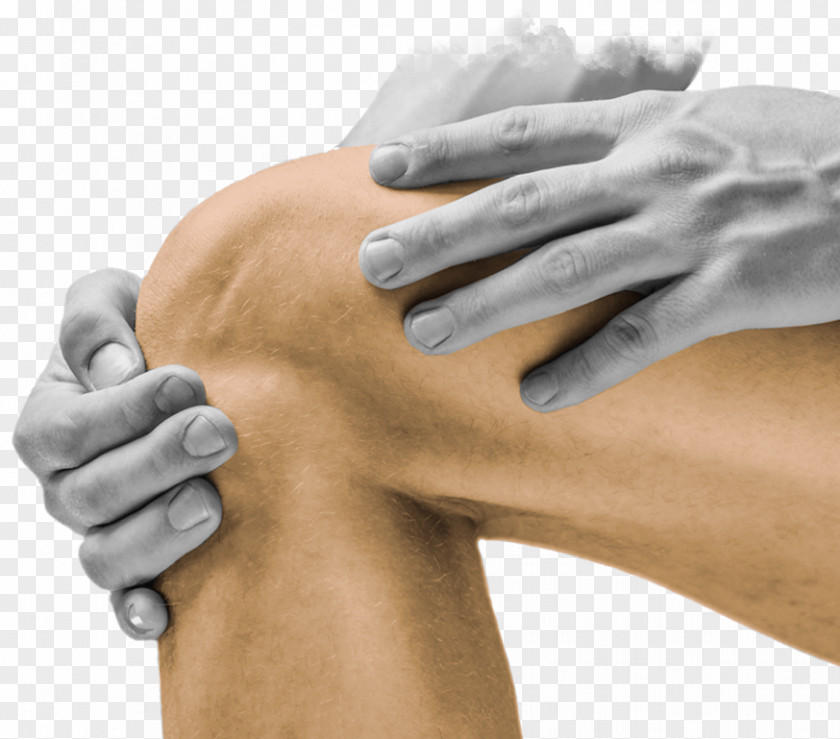 Health Joint Osteoarthritis Shoulder Problem Therapy PNG