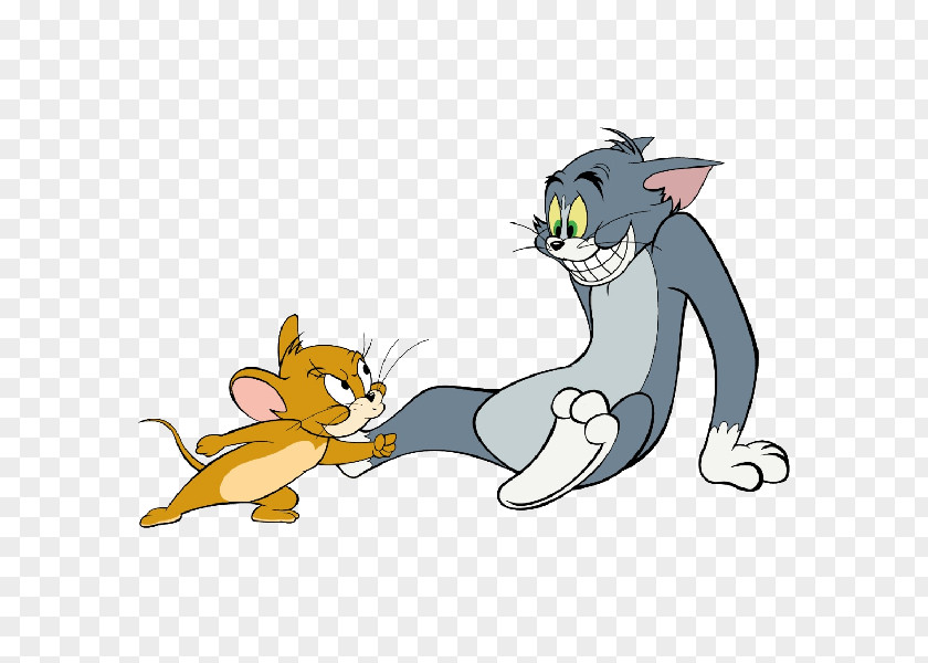 Tom And Jerry Cat Cartoon PNG