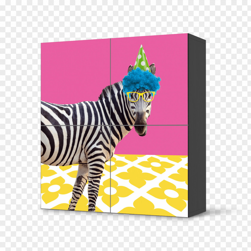 Zebra Picture Frames Product Rectangle Pattern PNG