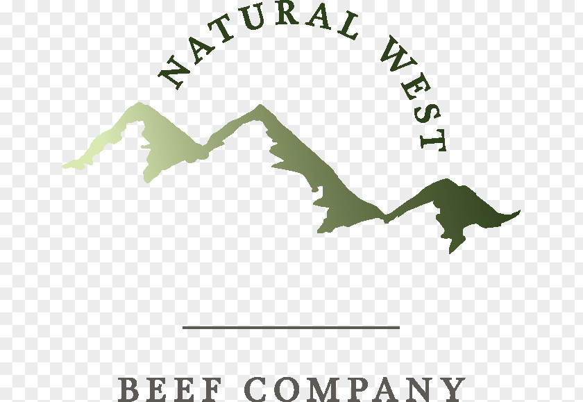 Beaf Watercolor Kamloops Logo Angle Leaf Green PNG