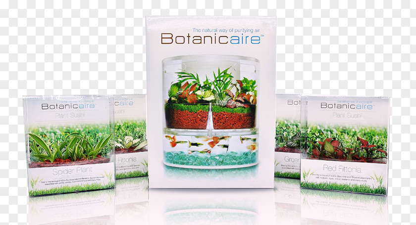 Botanic In Vitro Pte Ltd | Botanicaire Plant Research Microorganism PNG