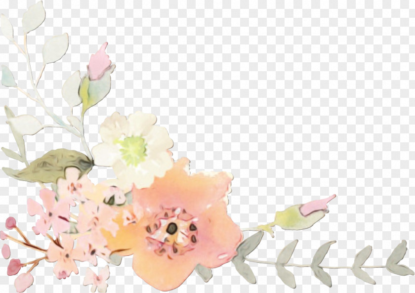 Floral Design Spring PNG