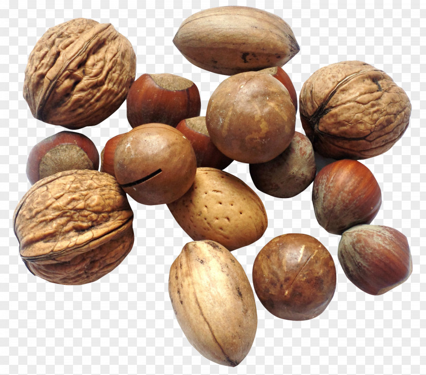 Nut Walnut Dried Fruit Seed PNG