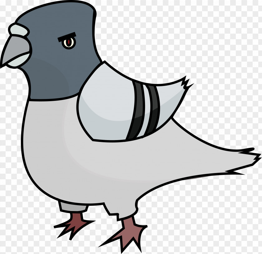 Pigeon Clipart Domestic Clip Art PNG