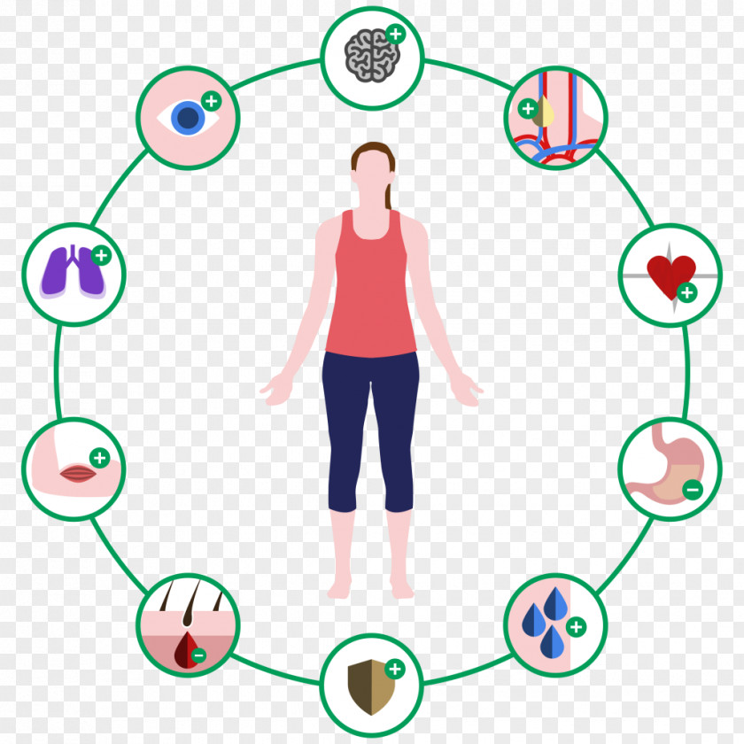 Behavioral Infographic ILSC Psychology Behavior Human Body Psychological Stress PNG