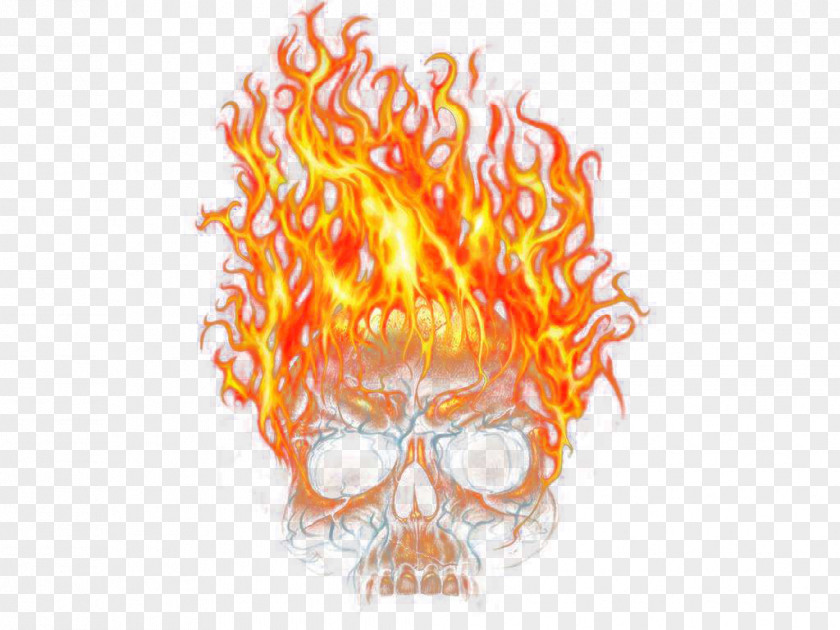Flame Skull Wrap Around Effect PNG skull wrap around effect clipart PNG