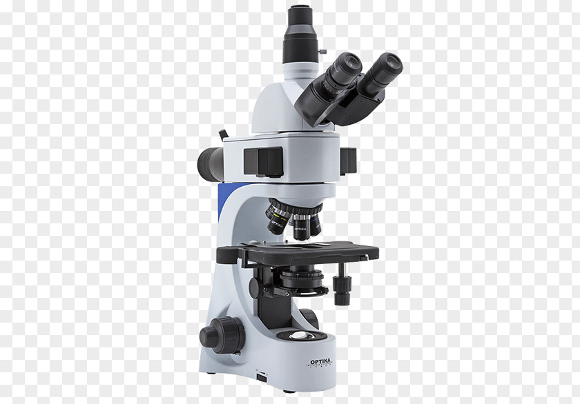 Microscope Optical Fluorescence Optics Polarized Light Microscopy PNG
