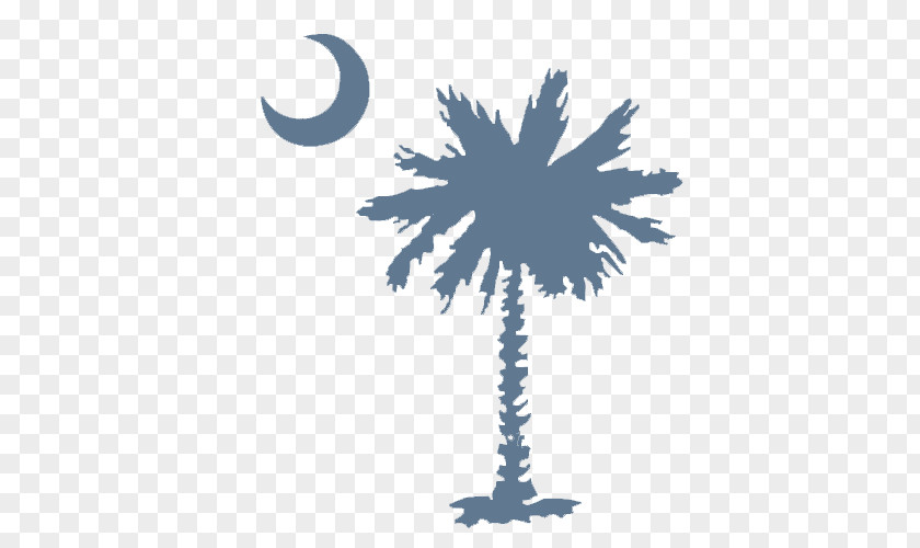 Sabal Palm Easley High School Irmo Myrtle Beach Flag Of South Carolina PNG