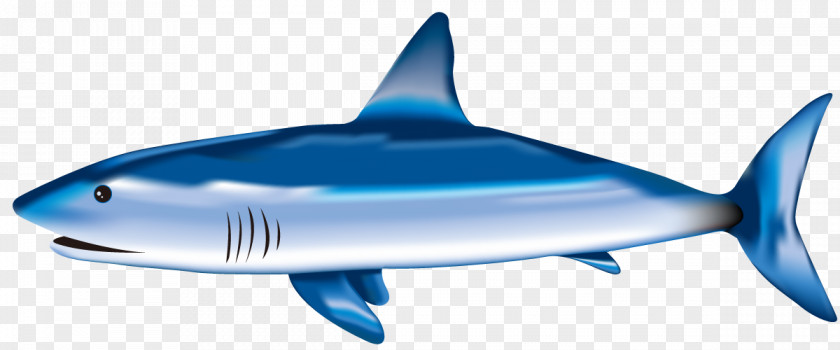 Shark Tiger Great White Blue Fin Soup PNG