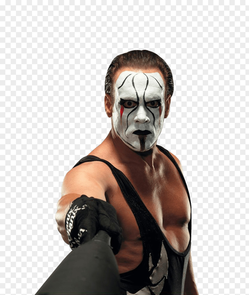 Sting Holding Baseball Bat PNG Bat, WWE clipart PNG