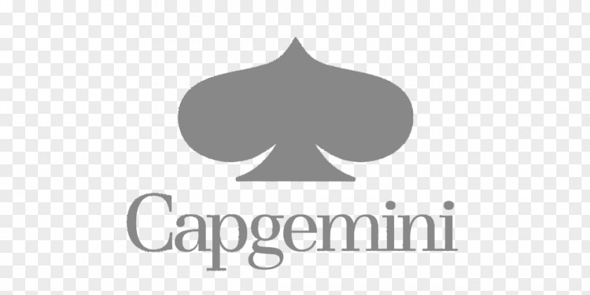 Business Capgemini Management Consulting Consultant PNG