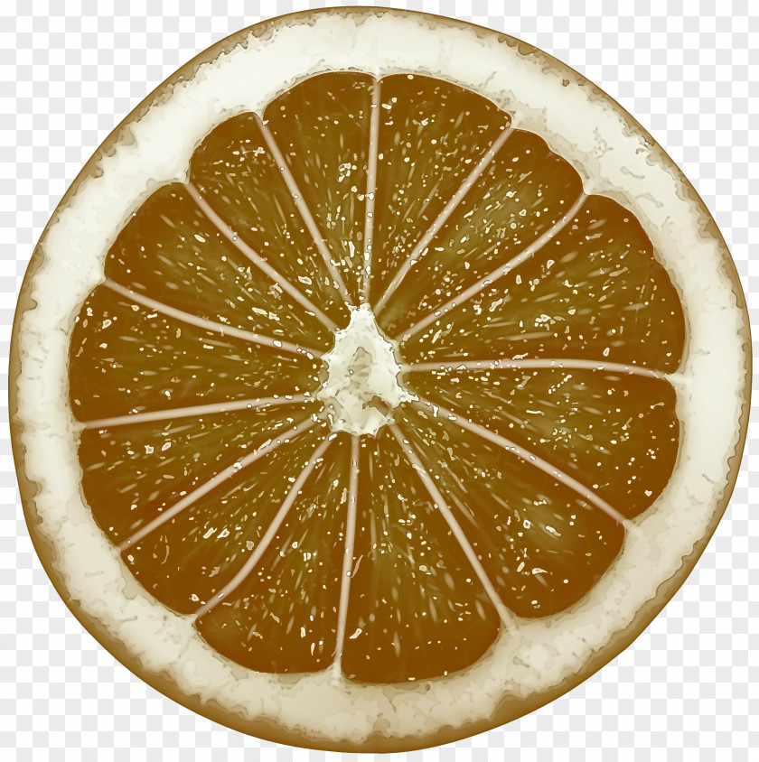 Citric Acid Plant Citrus Lemon Lime Grapefruit Fruit PNG
