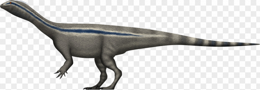 Dinosaur Riojasaurus Massospondylus Zupaysaurus Aardonyx Velociraptor PNG