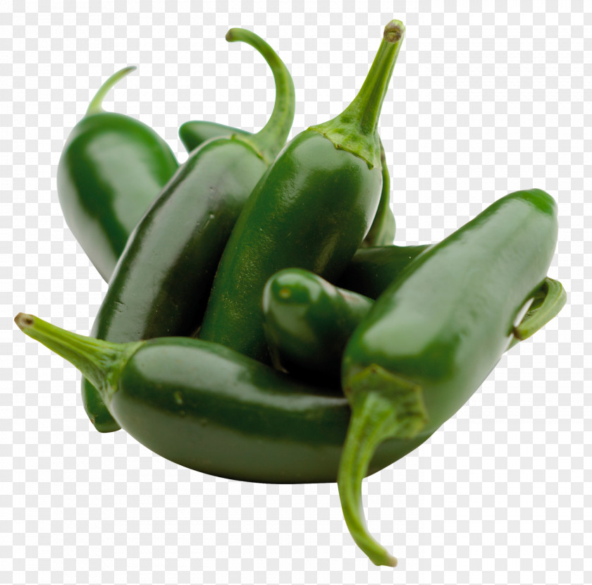 Green Chili Pepper Chile Institute Capsicum Pungency Scoville Unit PNG