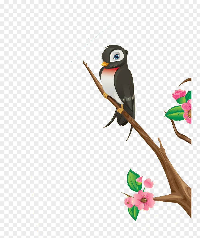 Japanese Cherry Blossoms Bird Blossom Photography Illustration PNG