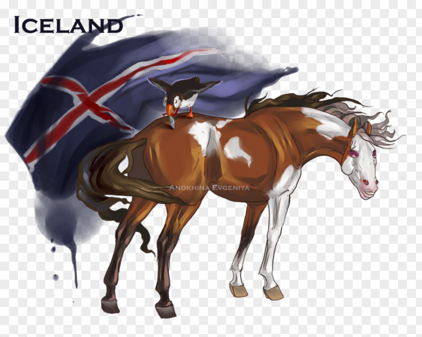 Paintings Icelandic Pony Stallion Mustang Horse Hetalia: Axis Powers PNG