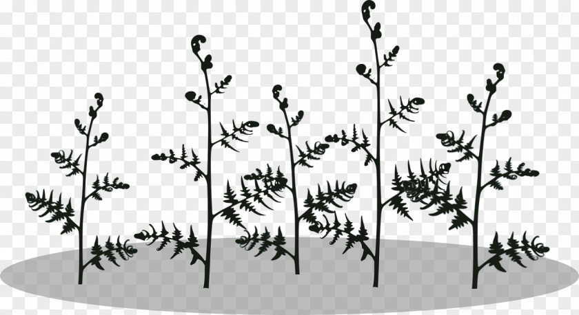 Silhouette Clip Art Fern Image PNG