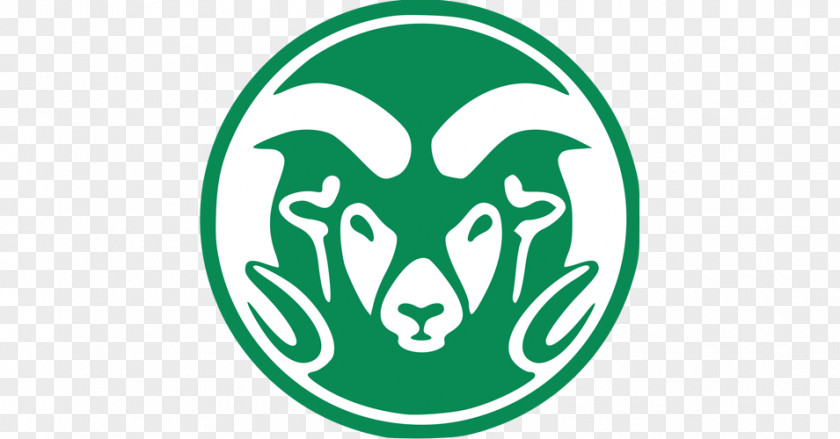 Student Colorado State University Rams Football Saint Mary's College Of California University, Fresno Northridge PNG