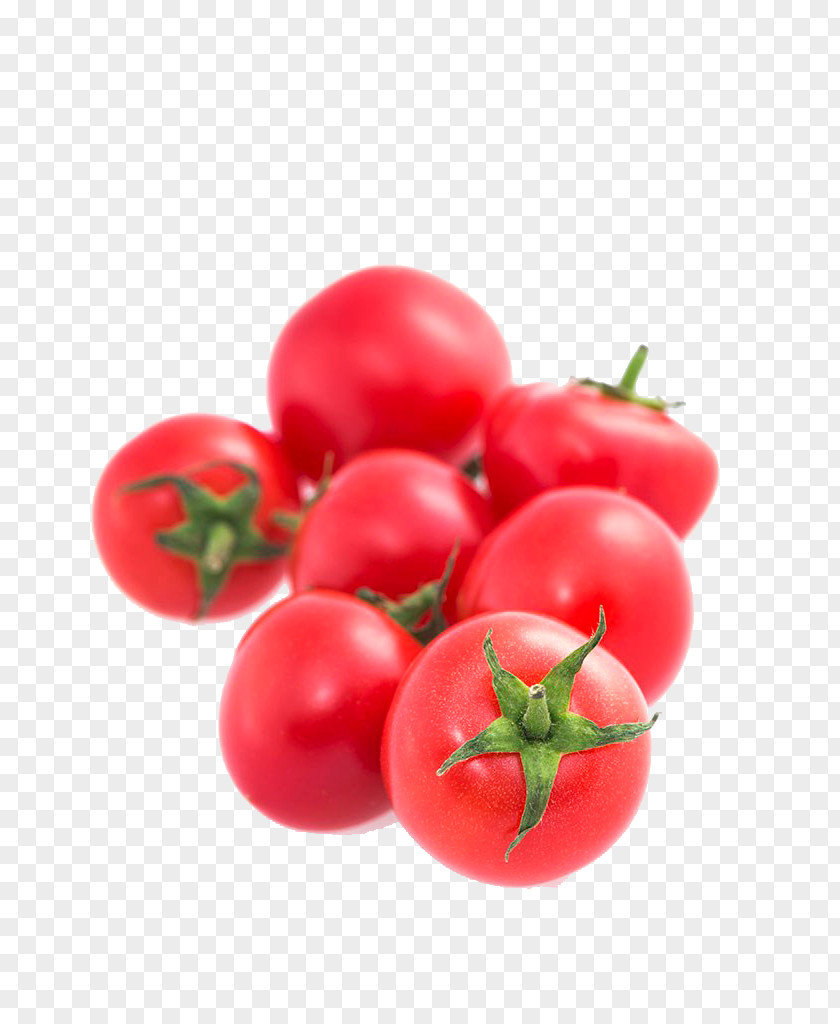 Tomato Cherry Plum Vegetable Bush PNG