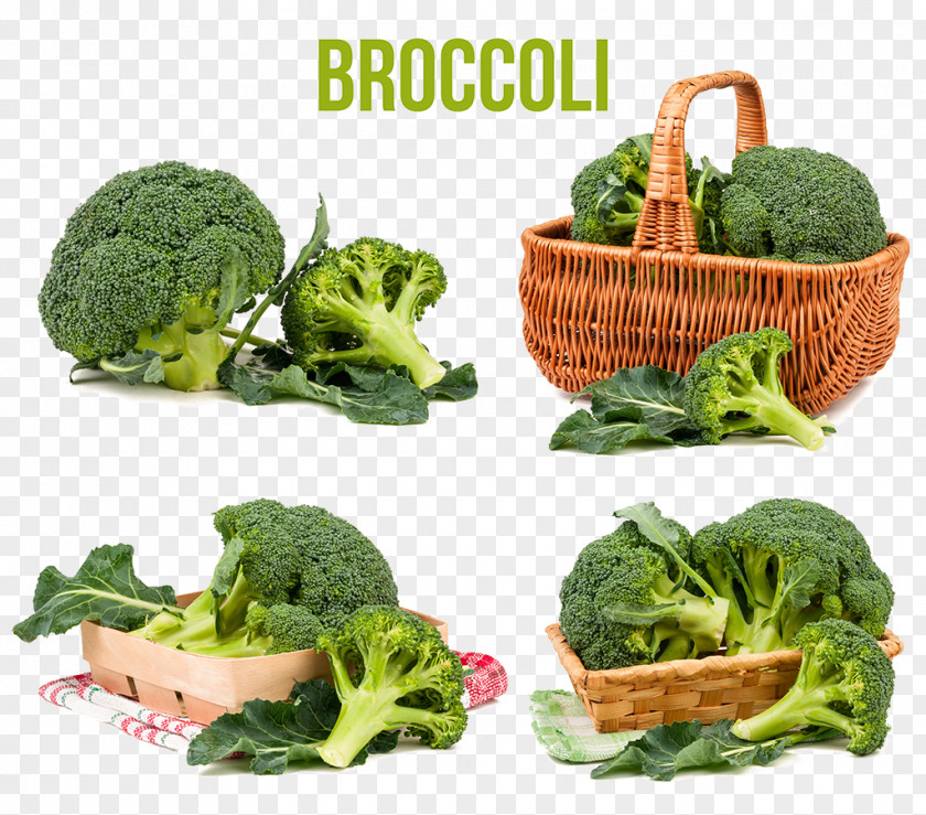 Broccoli Cabbage Vegetable Food PNG