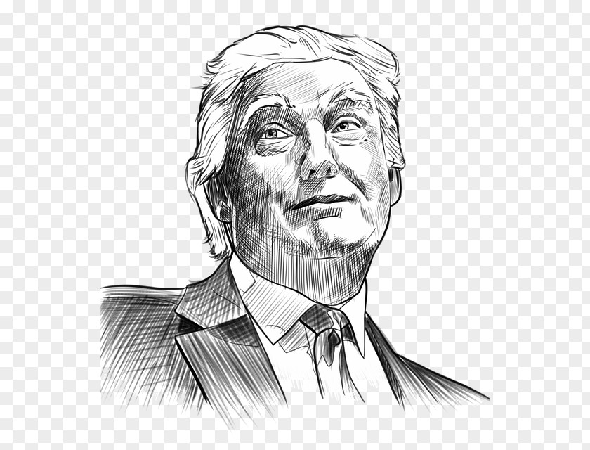 Business Sketch President Of The United States Presidency Donald Trump Drawing PNG