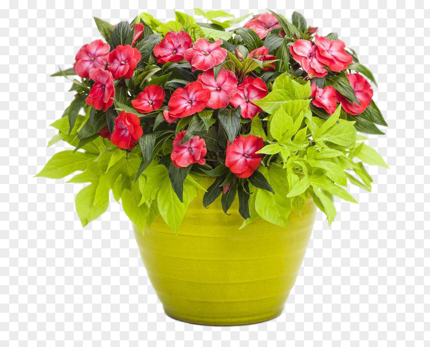 Container Garden Flowerpot Shipping Gardening PNG