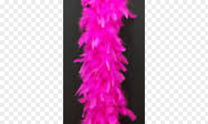 Feather Boa Shawl Bank Of America Cerise Chandelle PNG