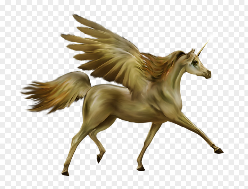 Myth Pegasus Howrse Horse Unicorn PNG