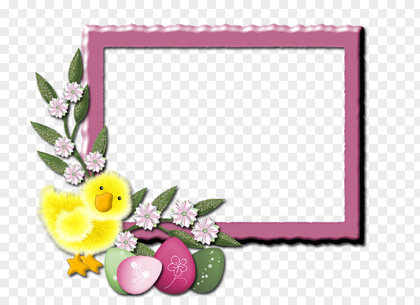 Pinceladas Picture Frames Floral Design Photography Easter Text PNG