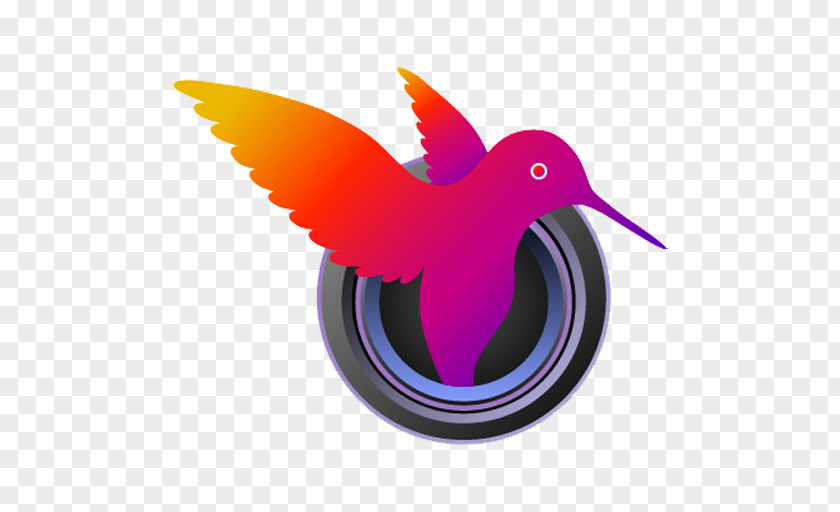 Uglybread Games Inc Hummingbird M Beak Font PNG