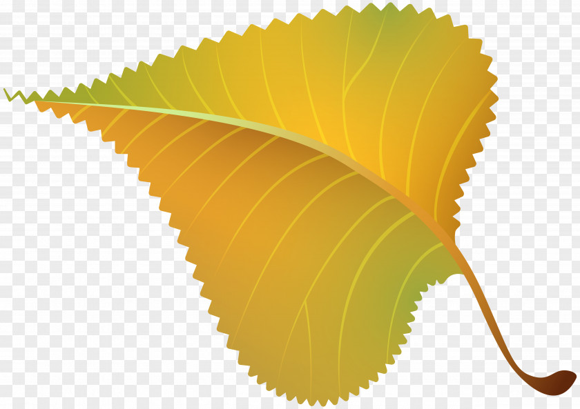 Fall Yellow Leaf Clipart Image Pig Roast Sewing Lounge Food Visit York Information Centre Drinking PNG