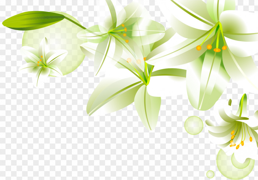 Hand-painted Lily Download PNG