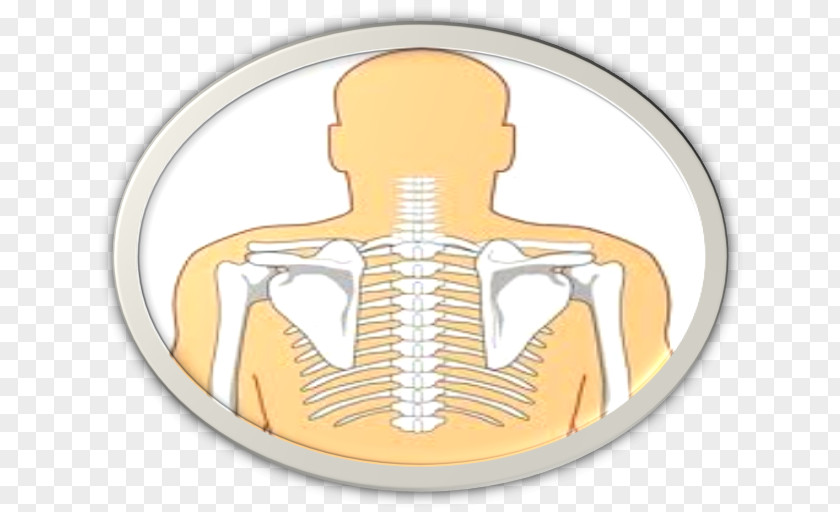 Mater Thallium Real-time Operating System Systems Embedded Essay Scheduling Analysis PNG