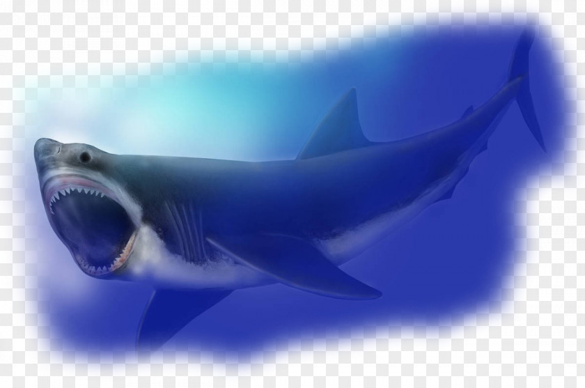 Shark Megalodon Hungry World Requiem Sharks Tomb Of Annihilation PNG