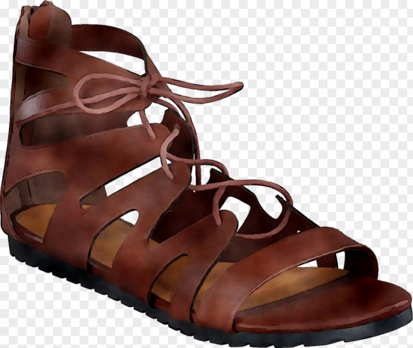 Slide Shoe Sandal Leather Walking PNG