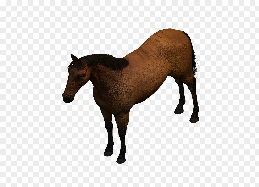 3d Mechanical Horses Mustang Mare Foal Pony Stallion PNG