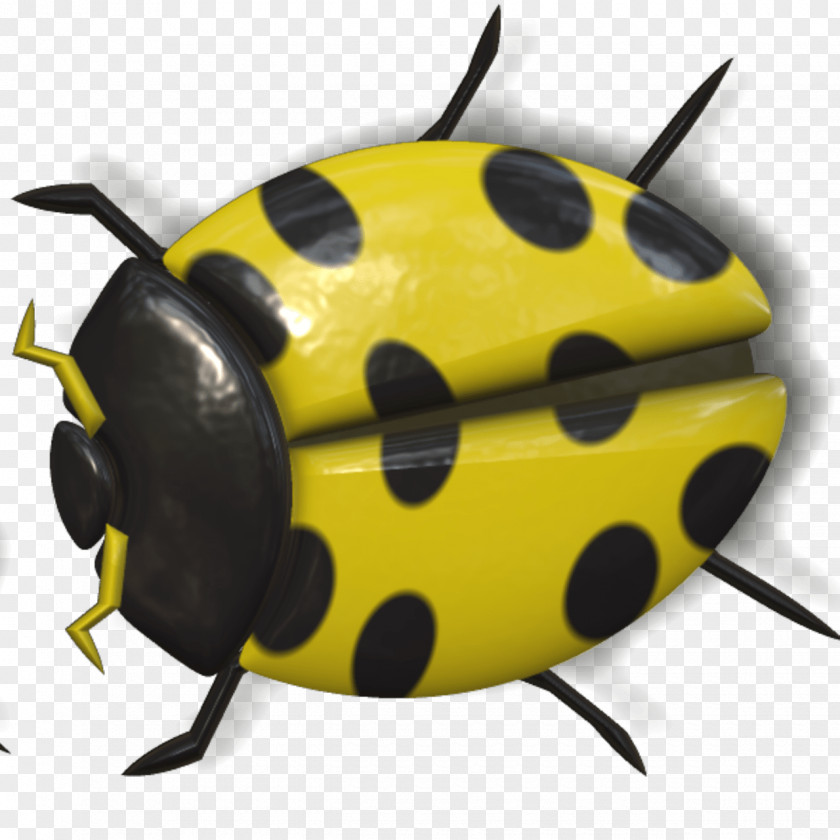 Beetle Yellow Ladybird Clip Art PNG
