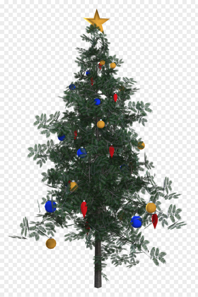 Christmas Tree Ornament Spruce Fir Pine PNG