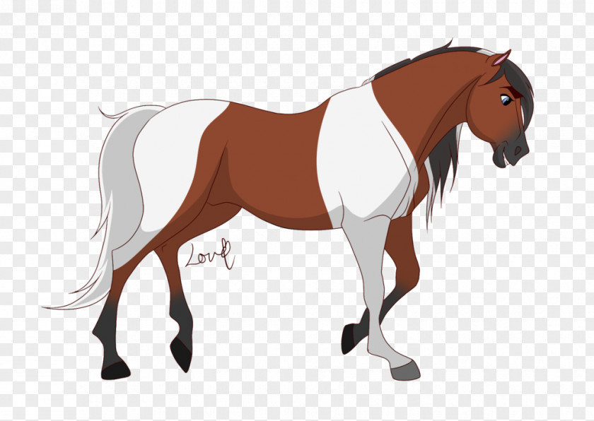 Horse Mane Foal Stallion Pony PNG