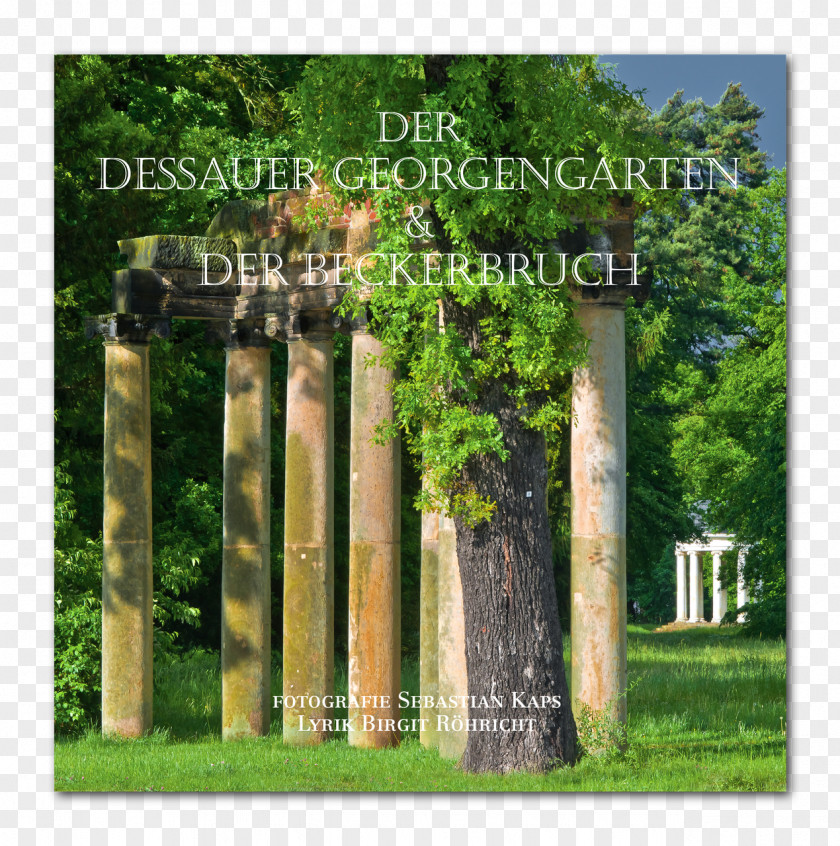Column Dessau-Wörlitz Garden Realm Fantasy Factory Bauhaus Dessau PNG