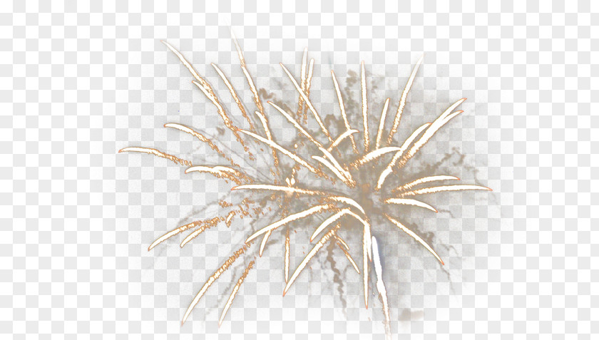 Fireworks HD Material Wood Twig PNG
