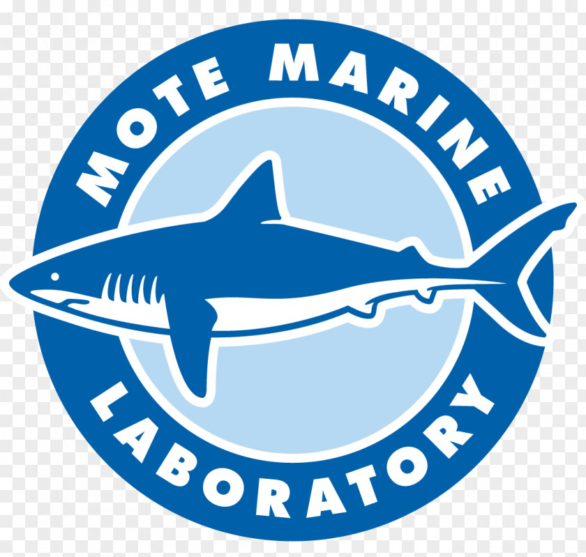Mote Marine Laboratory & Aquarium Science Research PNG
