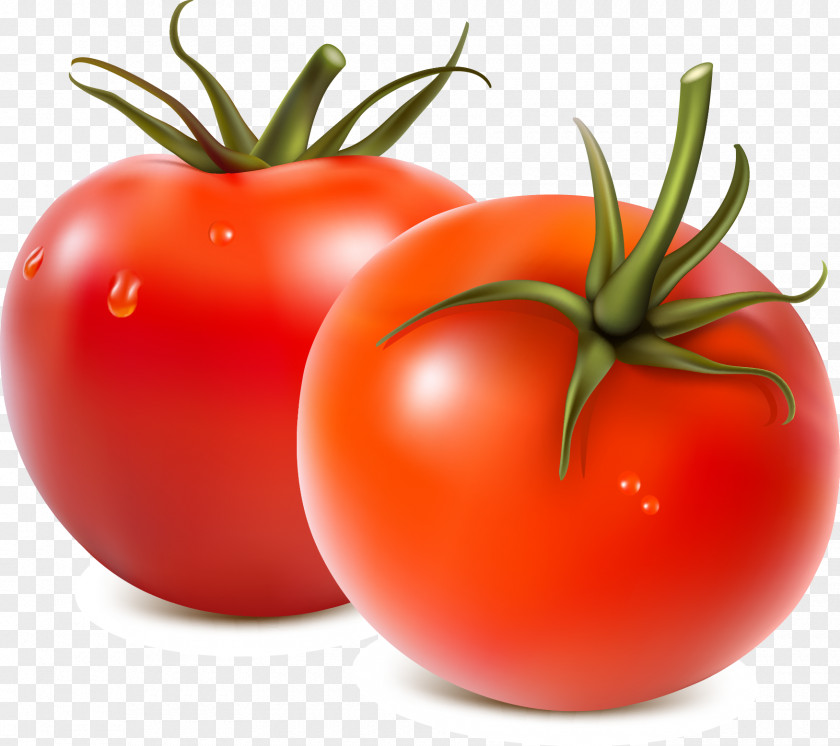 Red,tomato Fruit Salad Vegetable Tomato PNG