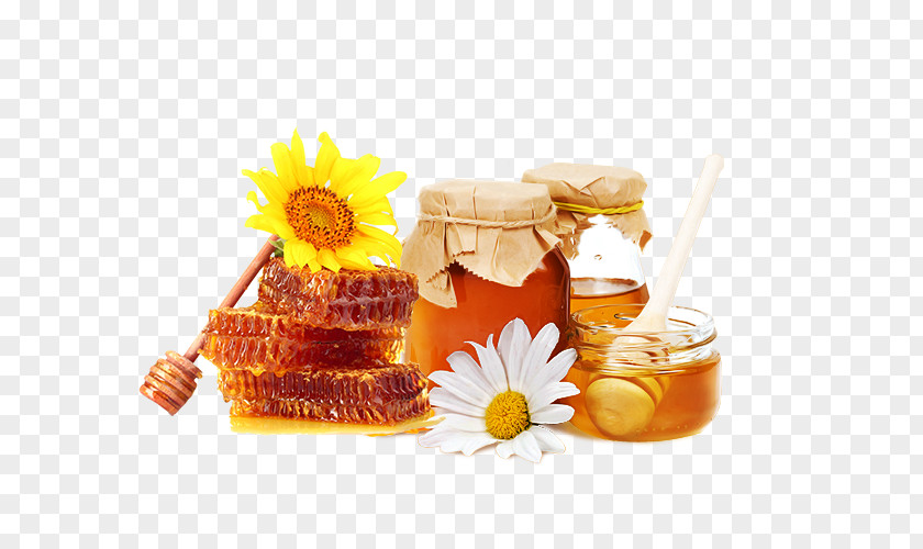 Sunflower Honey Pull Material Free Bee Food Flavor Honeycomb PNG